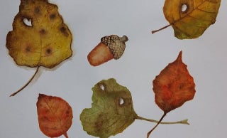 price option <div class="editor-content"><p>Robyn B</p></div>