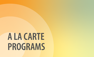 price option <div class="editor-content"><p>A LA CARTE PROGRAMS</p></div>