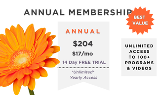 price option <div class="editor-content"><p>Unlimited Annual</p></div>