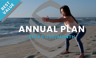 price option ANNUALLY