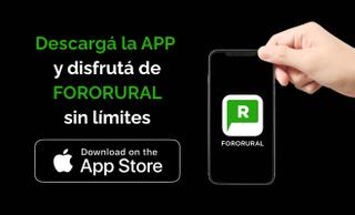 price option <div class="editor-content"><p>APP STORE (iPhone)</p></div>