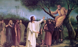 price option <div class="editor-content"><p><span>CARINIK</span></p></div>