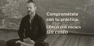 price option <div class="editor-content"><p><span style="color: #585949">Anual (Ahorra 20%)</span></p></div>