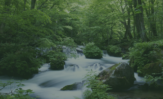 price option <div class="editor-content"><p>​​Annually</p></div>