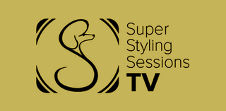 price option <div class="editor-content"><p> (Save $100) ​​Annual Membership</p></div>