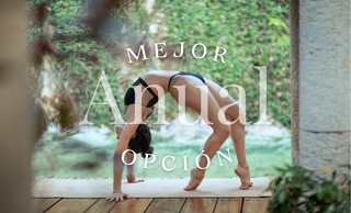 price option <div class="editor-content"><p style="text-align: center">♡<strong>El Plan Anual: "Tu Transformación" (El más recomendado)</strong></p></div>