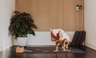 price option <div class="editor-content"><p style="text-align: left">60-min. Advanced Hips + Twists: Grasshopper Pose</p></div>