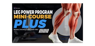 price option <div class="editor-content"><p>Leg Power Program</p></div>