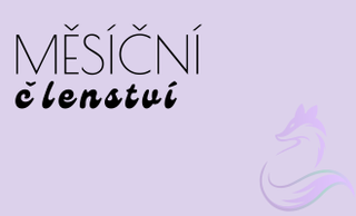 price option <div class="editor-content"><p>Měsíční</p></div>