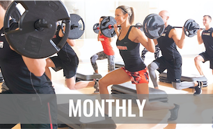 price option <div class="editor-content"><p>MONTHLY</p></div>