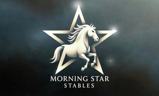 price option MONTHLY