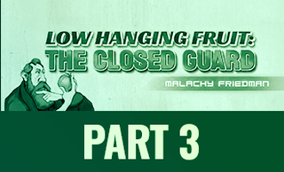 price option <div class="editor-content"><p style="text-align: left">PART 3</p><p style="text-align: left"><span><strong> </strong></span><span style="font-size: 1.5rem; color: #A3E0AF"><strong>Flower & Omoplata Systems</strong></span></p></div>