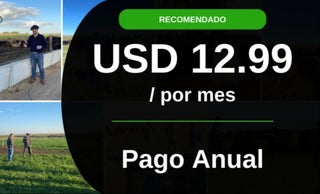 price option <div class="editor-content"><p>Pago Anual</p></div>