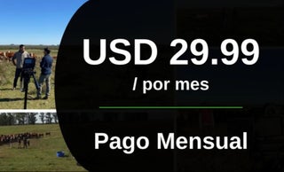 price option <div class="editor-content"><p>Pago mensual</p></div>