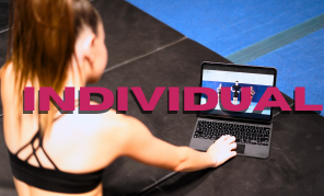 price option <div class="editor-content"><p style="text-align: left"><span style="font-size: 1.25rem">INDIVIDUAL</span></p></div>