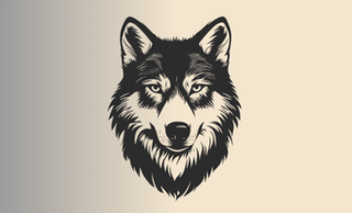 price option <div class="editor-content"><p>Single Private Session</p></div>