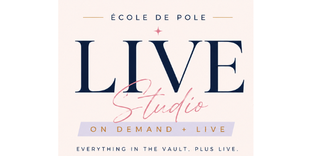 price option <div class="editor-content"><p>Live Studio</p></div>