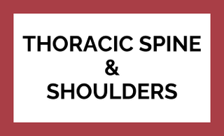 price option <div class="editor-content"><p>December 14th</p></div>