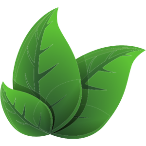 <div class="editor-content"><p>Realistic and Achievable</p></div>