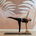 <div class="editor-content"><p>Train With Us</p></div>