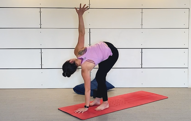 <p>YOGA CLASSES</p>