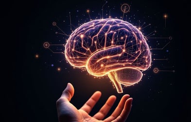 <div class="editor-content"><p>Performance</p></div>