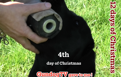 <div class="editor-content"><p style="text-align: center">16th December</p></div>