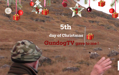 <div class="editor-content"><p style="text-align: center">17th December</p></div>