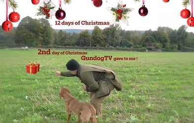 <div class="editor-content"><p style="text-align: center">14th December</p></div>