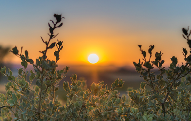 <div class="editor-content"><p>Awakened Doing</p></div>