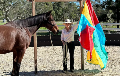 <div class="editor-content"><p>Spooky Horses</p></div>