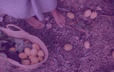 <div class="editor-content"><p>Carbon Action In Tourism</p></div>