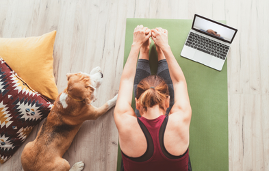 <div class="editor-content"><p><strong>LIVE CLASSES</strong></p></div>