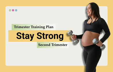 <div class="editor-content"><p>2nd Trimester</p></div>