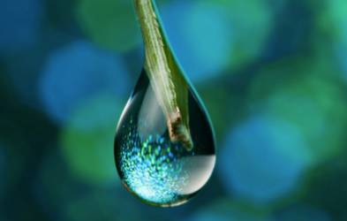 <div class="editor-content"><p>RESTORE</p></div>