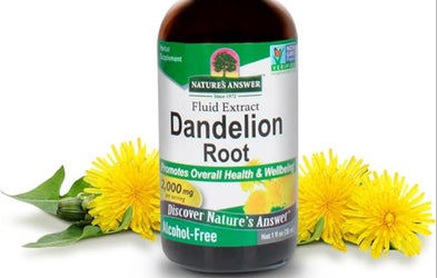 <div class="editor-content"><p>DANDELION ROOT</p></div>