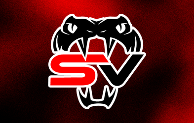 <div class="editor-content"><p>STARS VIPERS</p></div>