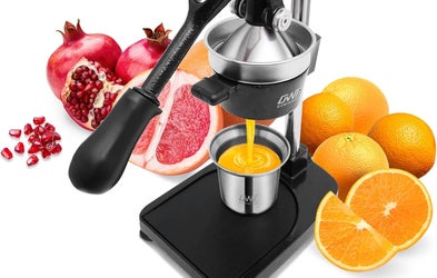 <div class="editor-content"><p>JUICER</p></div>