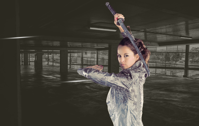 <div class="editor-content"><p>Complete sword progression course</p></div>