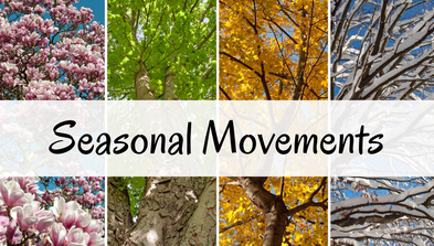 <div class="editor-content"><p>Seasonal Focus</p></div>