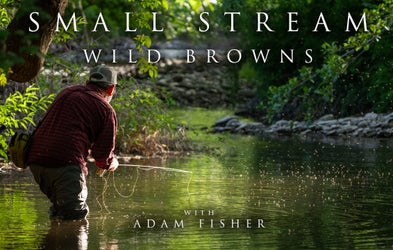 <div class="editor-content"><p><strong>Fishing</strong></p></div>