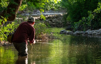 <div class="editor-content"><p><strong>Fishing</strong></p></div>