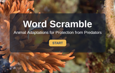 <div class="editor-content"><p>Animal Adaptations Word Scramble Game</p></div>