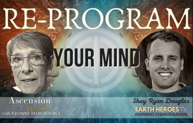 Premium courses