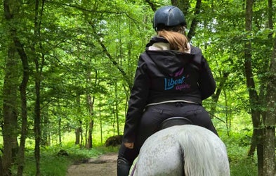 <div class="editor-content"><p>Quand le stress du cavalier impacte le cheval</p></div>