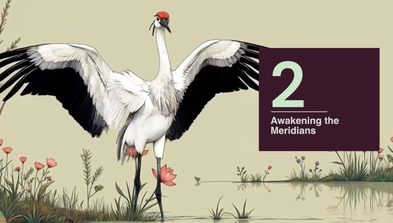 <div class="editor-content"><p>Awakening The Meridians</p></div>