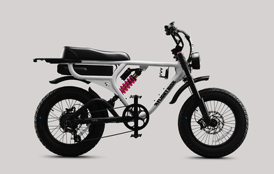 <div class="editor-content"><p>Flight Risk e-Bike</p></div>