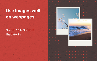<div class="editor-content"><p><span style="font-size: 0.875rem">Choose the right image for your webpage&nbsp;— and use it well for maximum impact.</span></p></div>