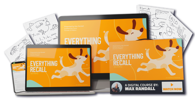 <div class="editor-content"><p><span style="color: #0D264F"><strong>The Everything Recall Series</strong></span></p></div>