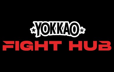 <div class="editor-content"><p>And more...</p></div>